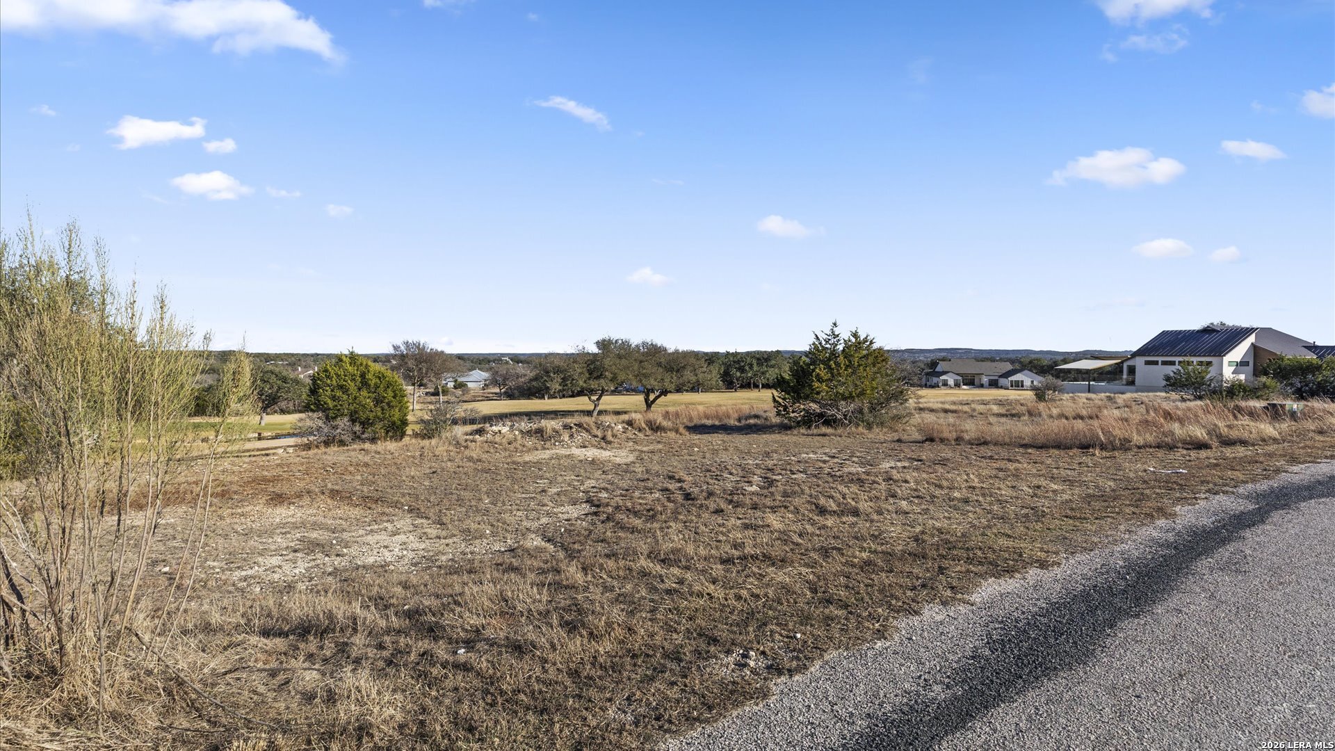 217 Lewis Todd Blanco, TX 78606 - Photo 8 of 29