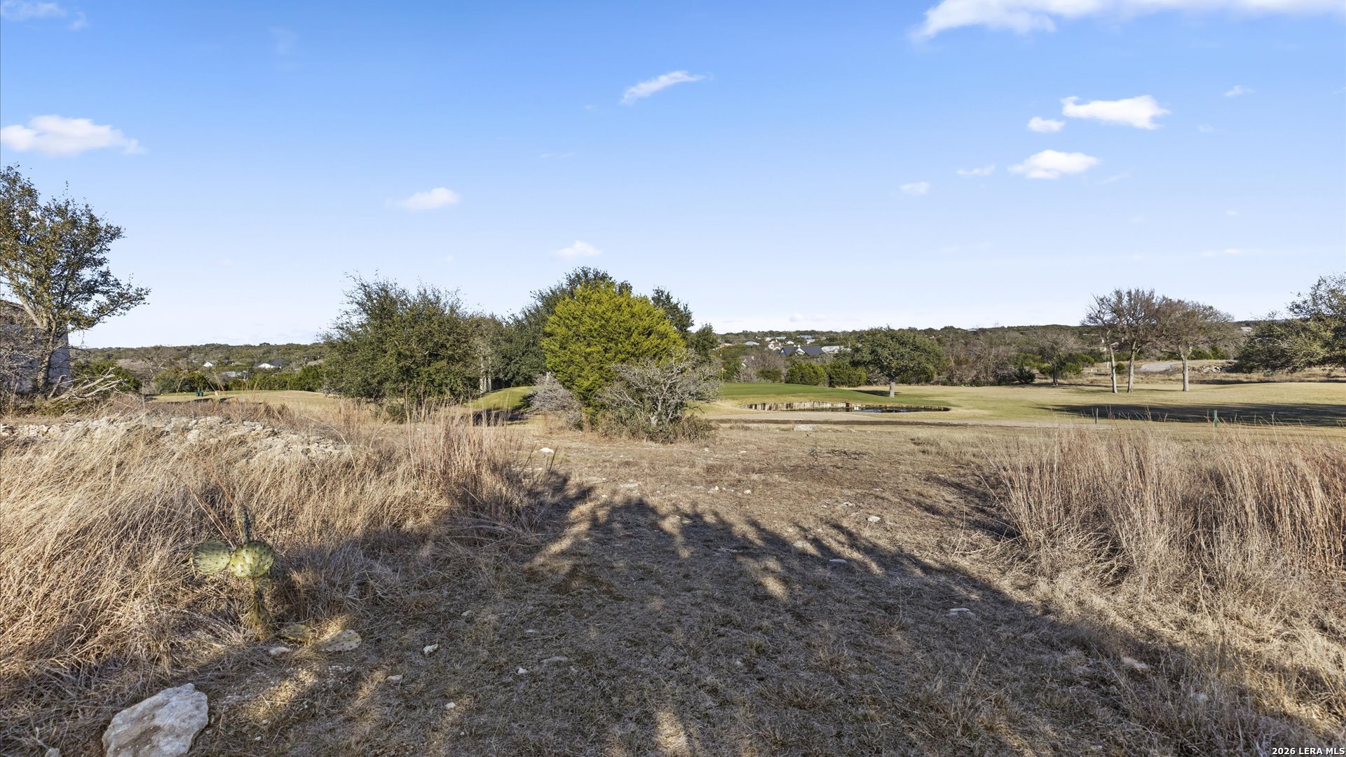 217 Lewis Todd Blanco, TX 78606 - Photo 9 of 29