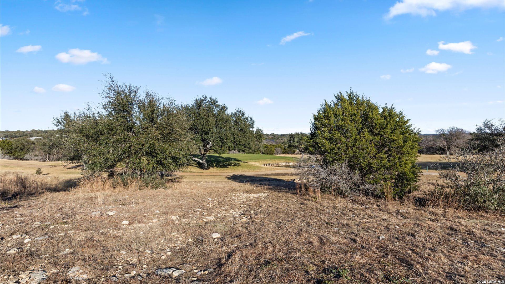 217 Lewis Todd Blanco, TX 78606 - Photo 10 of 29