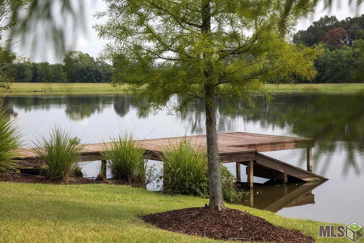 1304 Market Square Road Zachary, LA 70791 - Photo 19 of 20 Ramp at Dogpark