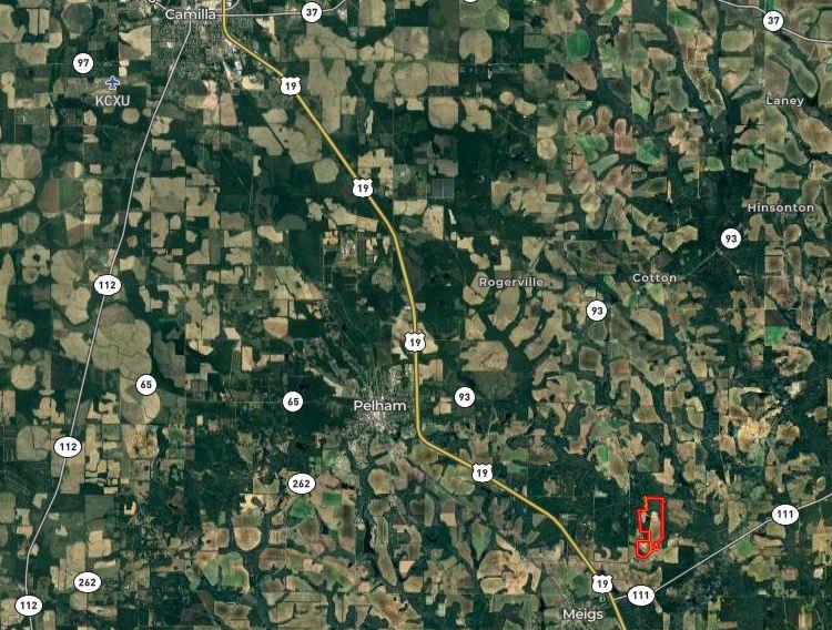 1626 Big Creek Road Meigs, GA 31765 - Photo 14 of 56 Gallery Image 14