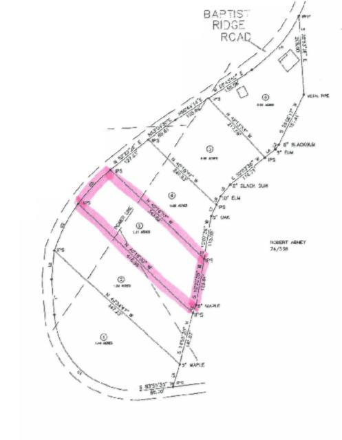 1.10 Baptist Ridge Road Hilham, TN 38568 - Photo 3 of 3 03