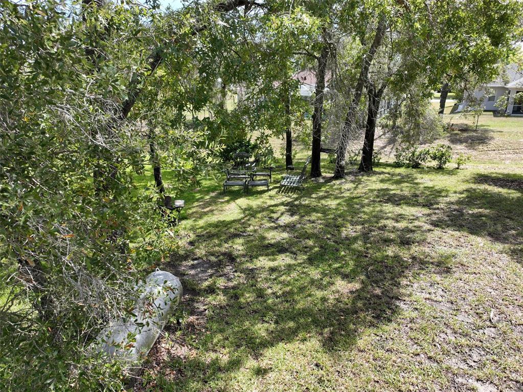 3362 Cedar Crest Loop Spring Hill, FL 34609 - Photo 53 of 57 a view of a forest with trees