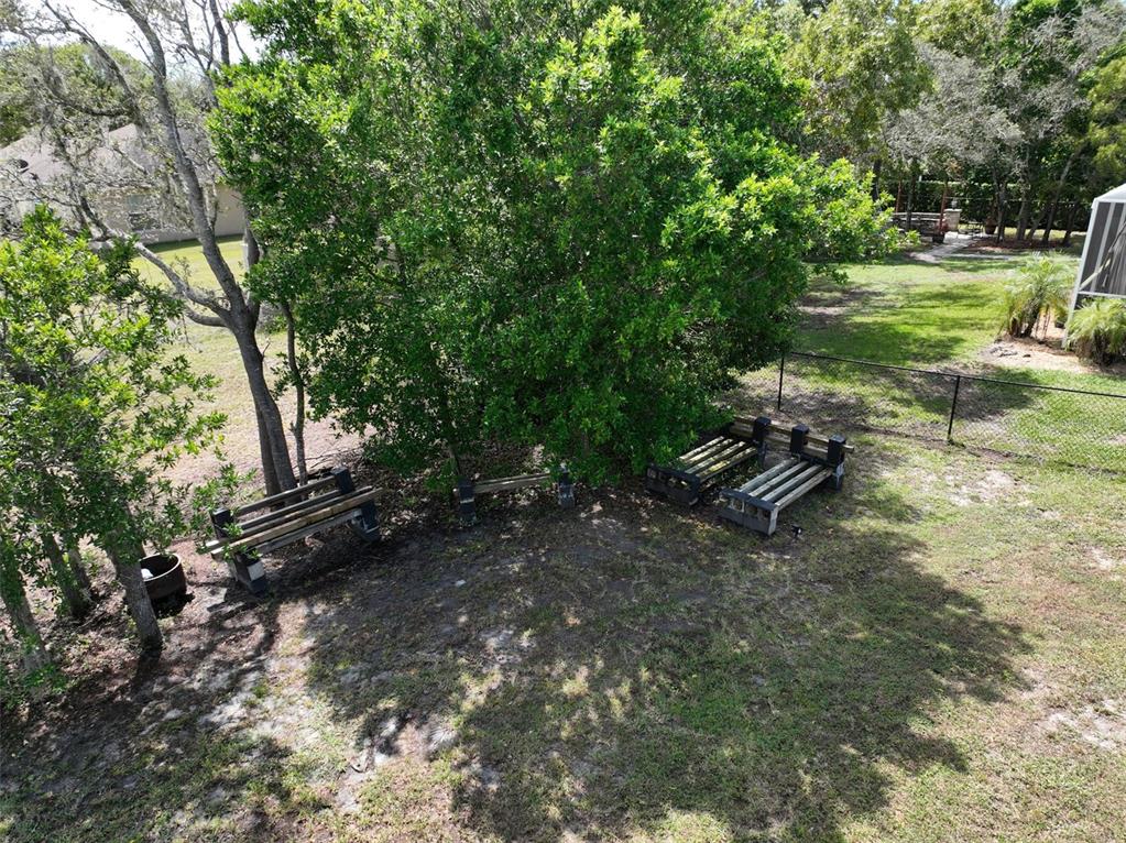 3362 Cedar Crest Loop Spring Hill, FL 34609 - Photo 56 of 57 a backyard of a house with lots of green space