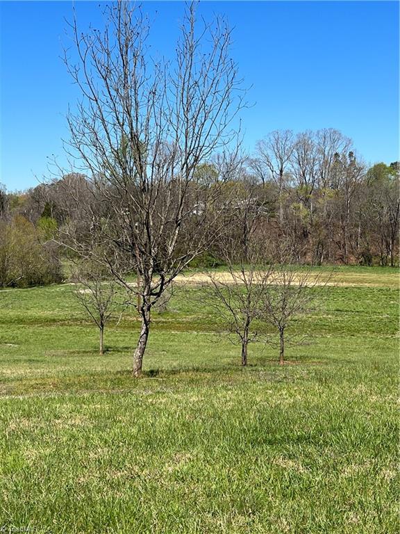 970 Branson Mill Road Pleasant Garden, NC 27313 - Photo 16 of 17 Gallery Image 16