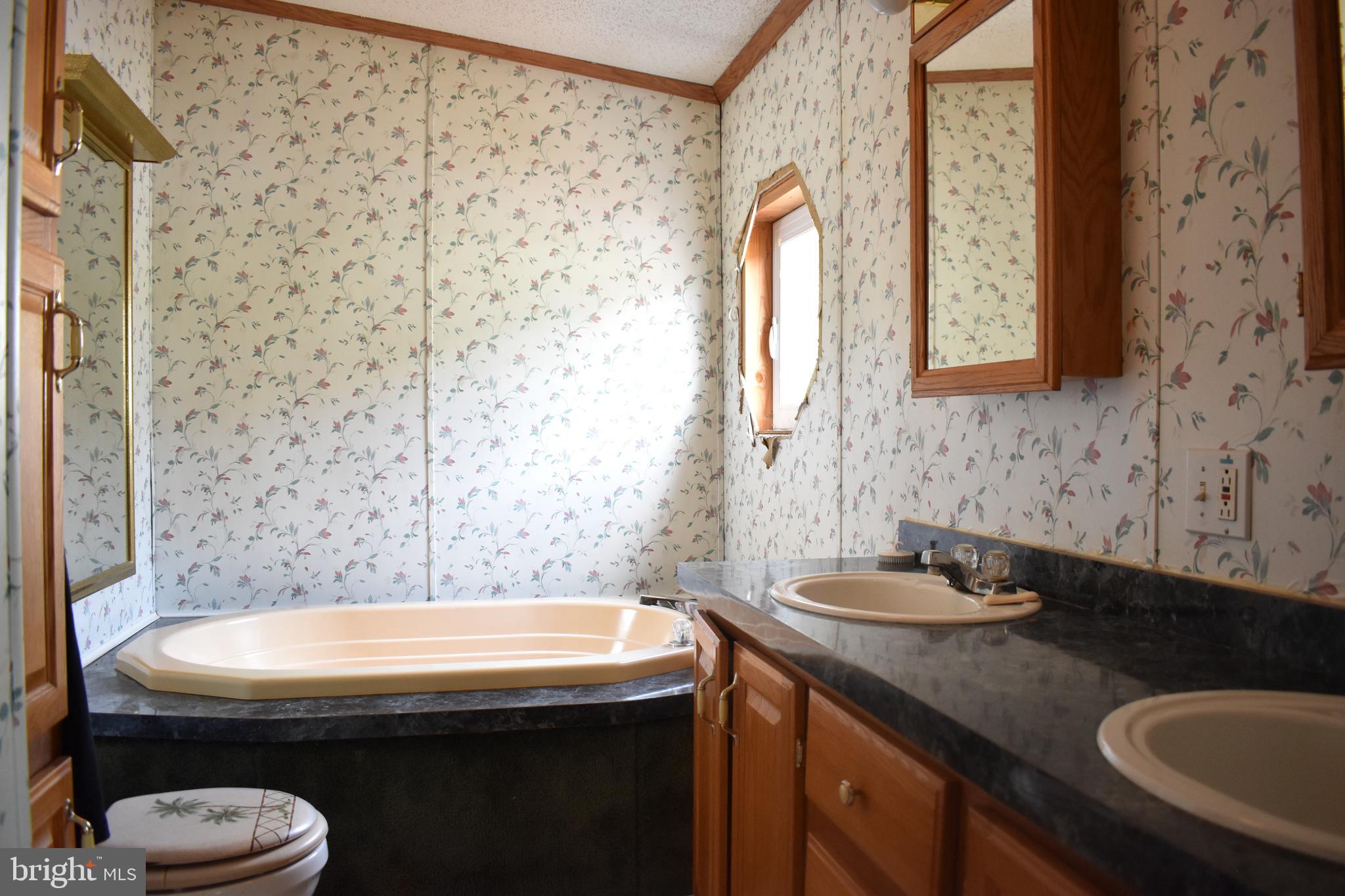 479 Picnic Road Lykens, PA 17048 - Photo 11 of 19 Master Bathroom