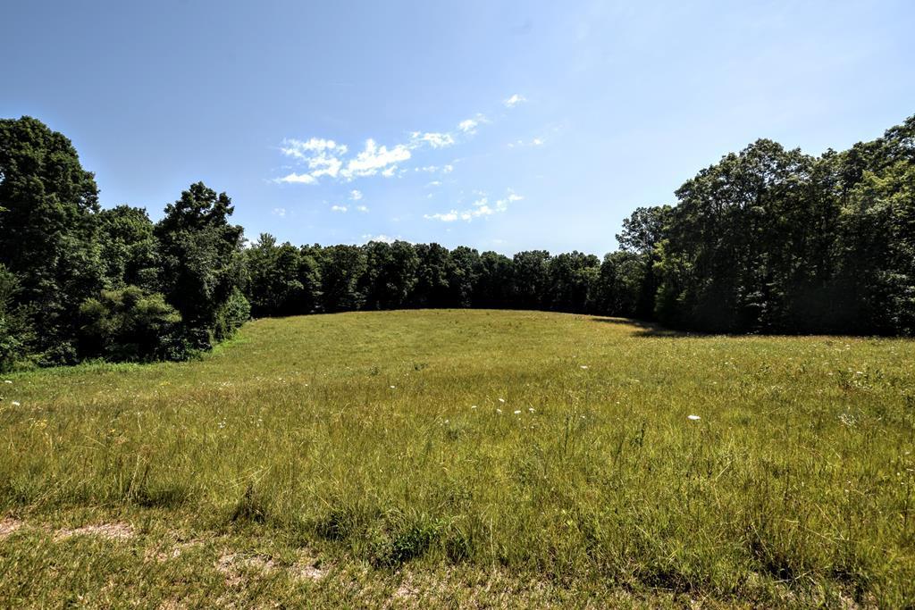 369 Sabo Road Grandview, TN 37337 - Photo 1 of 40 1