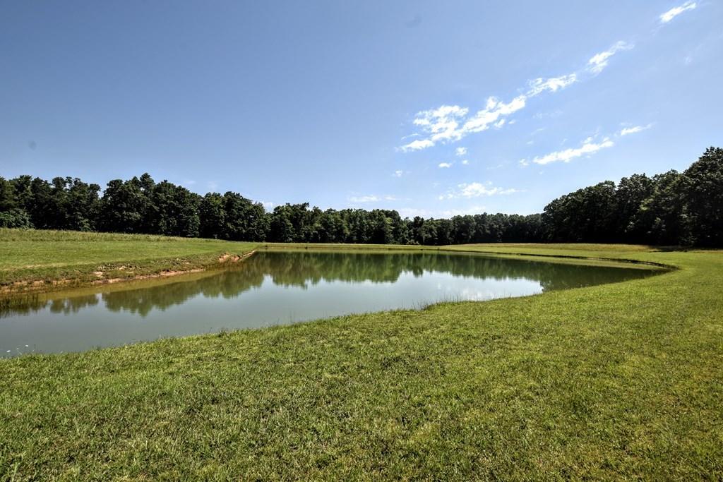 369 Sabo Road Grandview, TN 37337 - Photo 5 of 40 5