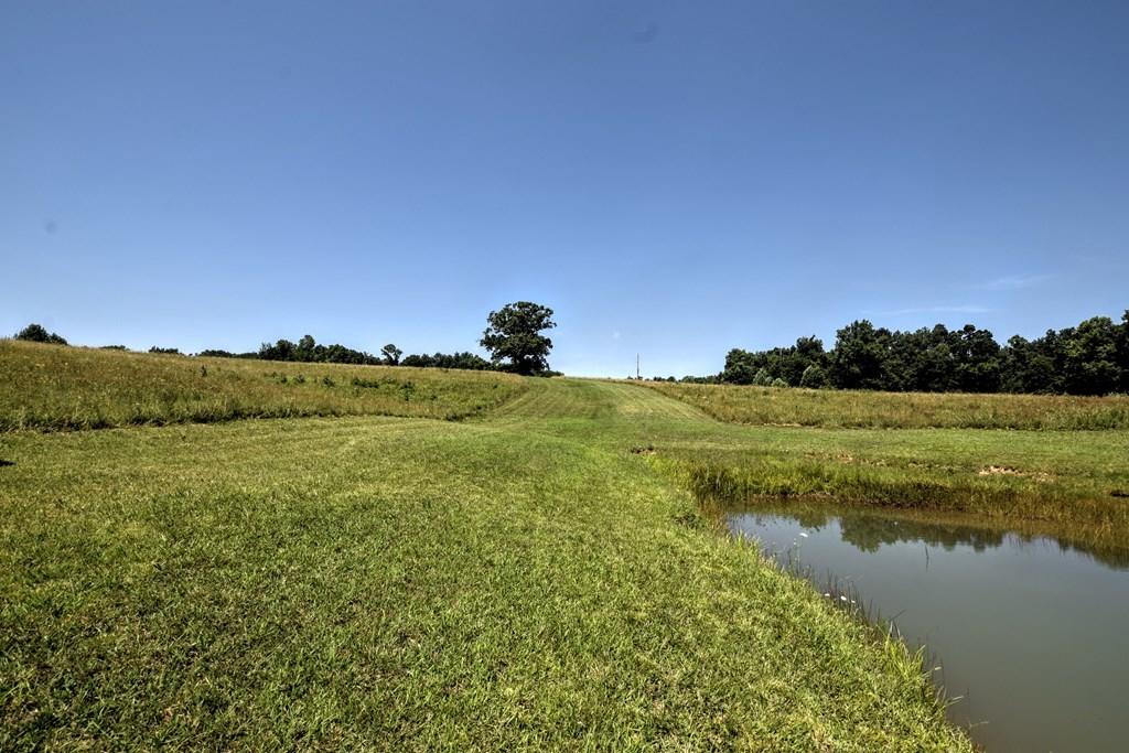 369 Sabo Road Grandview, TN 37337 - Photo 7 of 40 7