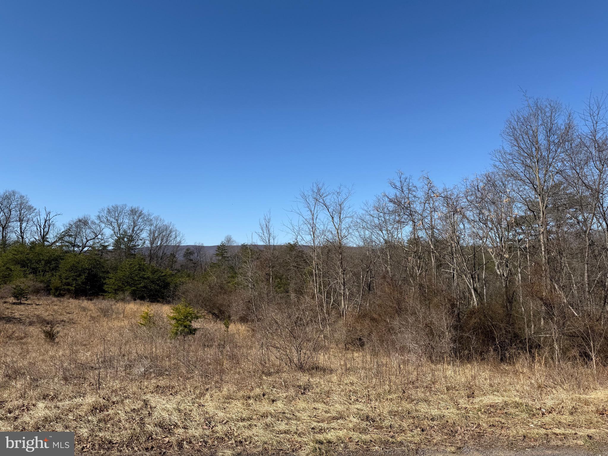 Waugh Road Berkeley Springs, WV 25411 - Photo 14 of 38 Gallery Image 14