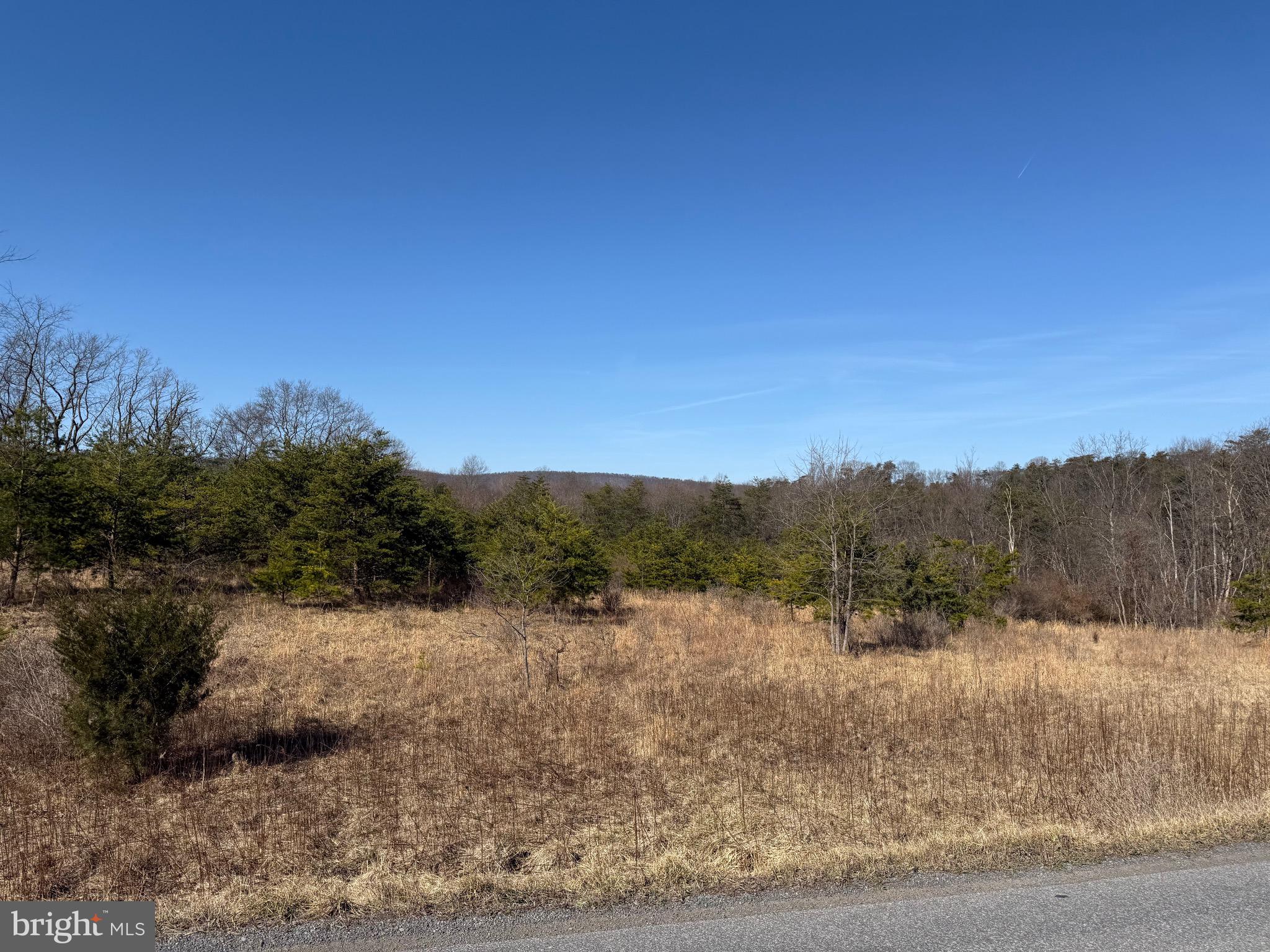 Waugh Road Berkeley Springs, WV 25411 - Photo 15 of 38 Gallery Image 15