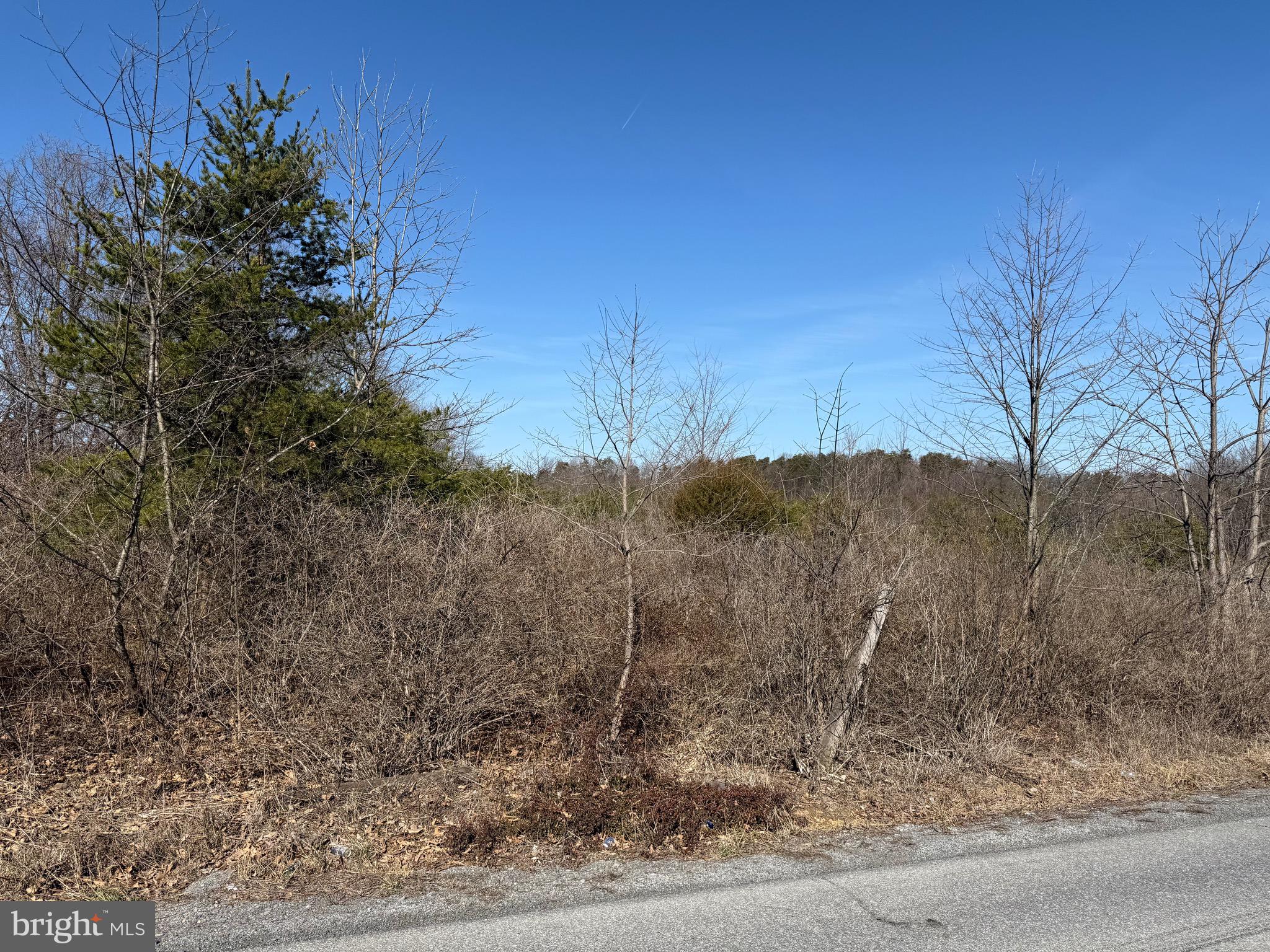 Waugh Road Berkeley Springs, WV 25411 - Photo 18 of 38 Gallery Image 18