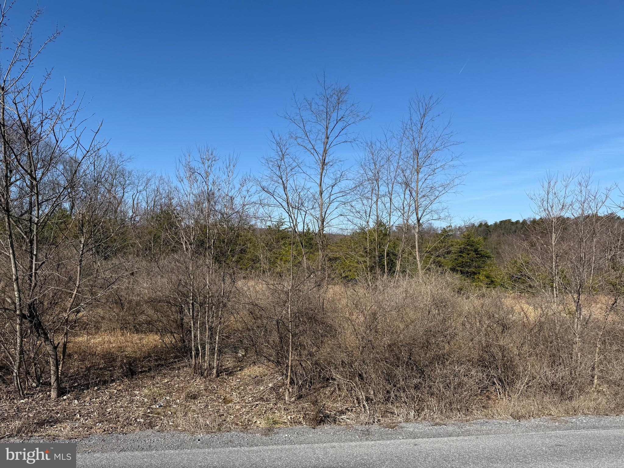 Waugh Road Berkeley Springs, WV 25411 - Photo 24 of 38 Gallery Image 24