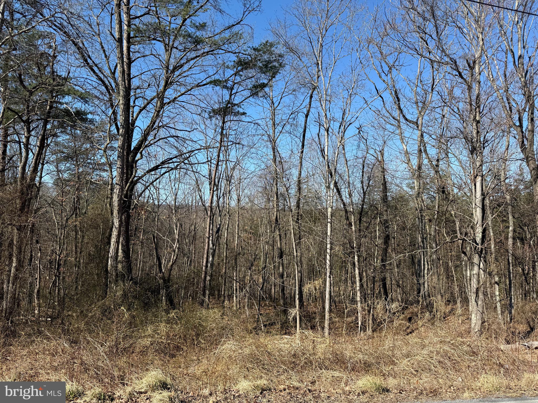 Waugh Road Berkeley Springs, WV 25411 - Photo 25 of 38 Gallery Image 25