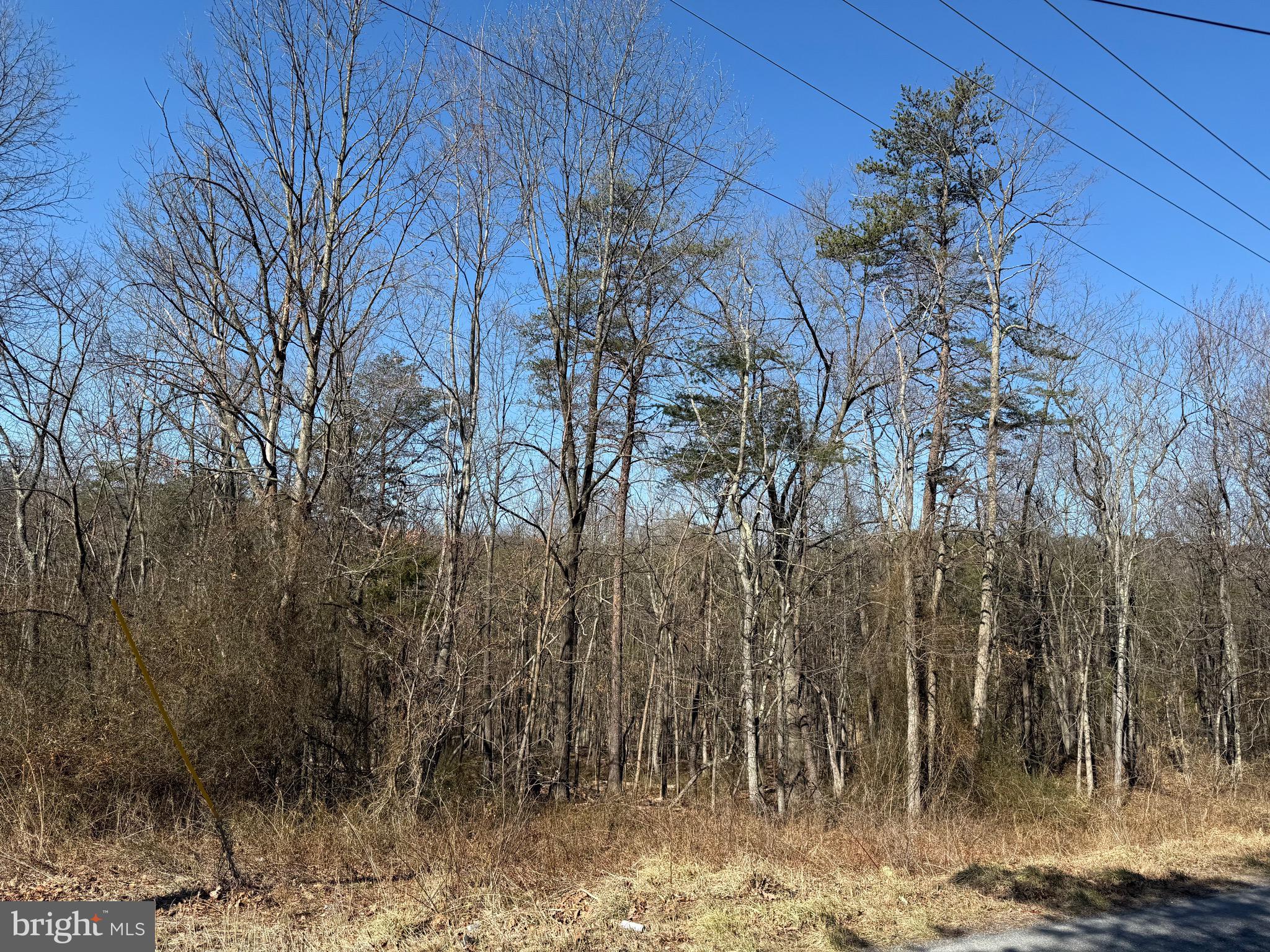 Waugh Road Berkeley Springs, WV 25411 - Photo 26 of 38 Gallery Image 26