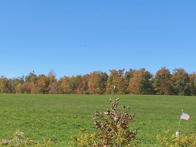 Lot B Loop Road Savoy, MA 01256 - Photo 8 of 12 Road View of Parcel