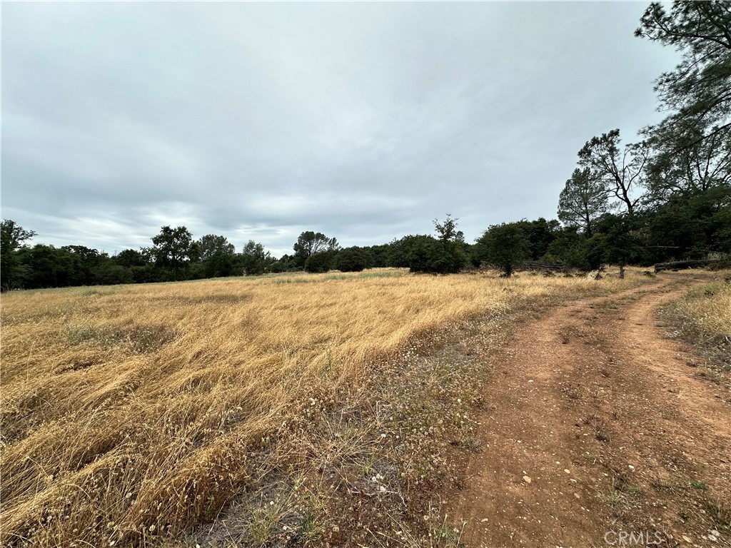 414 Beaver Road Oroville, CA 95966 - Photo 4 of 10