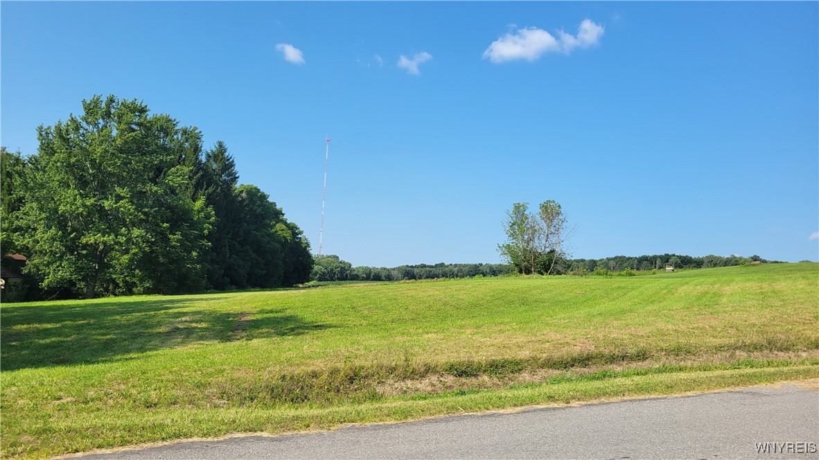 0 Dillon Road Pavilion, NY 14525 - Photo 2 of 9