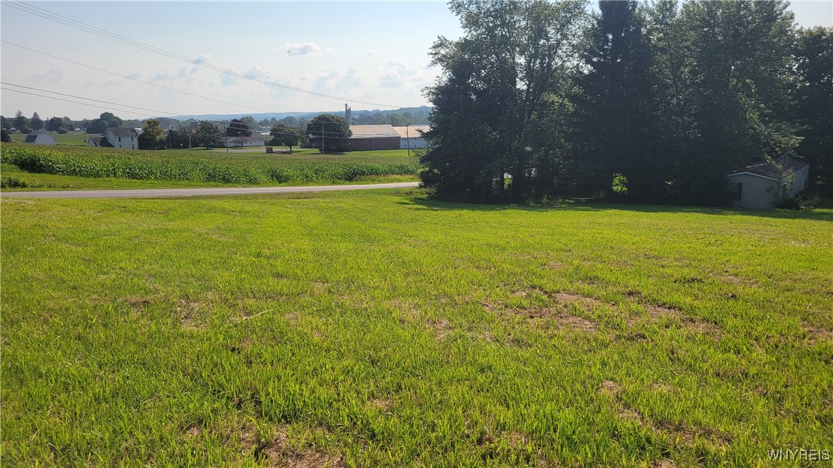 0 Dillon Road Pavilion, NY 14525 - Photo 9 of 9 Viewing towards the road