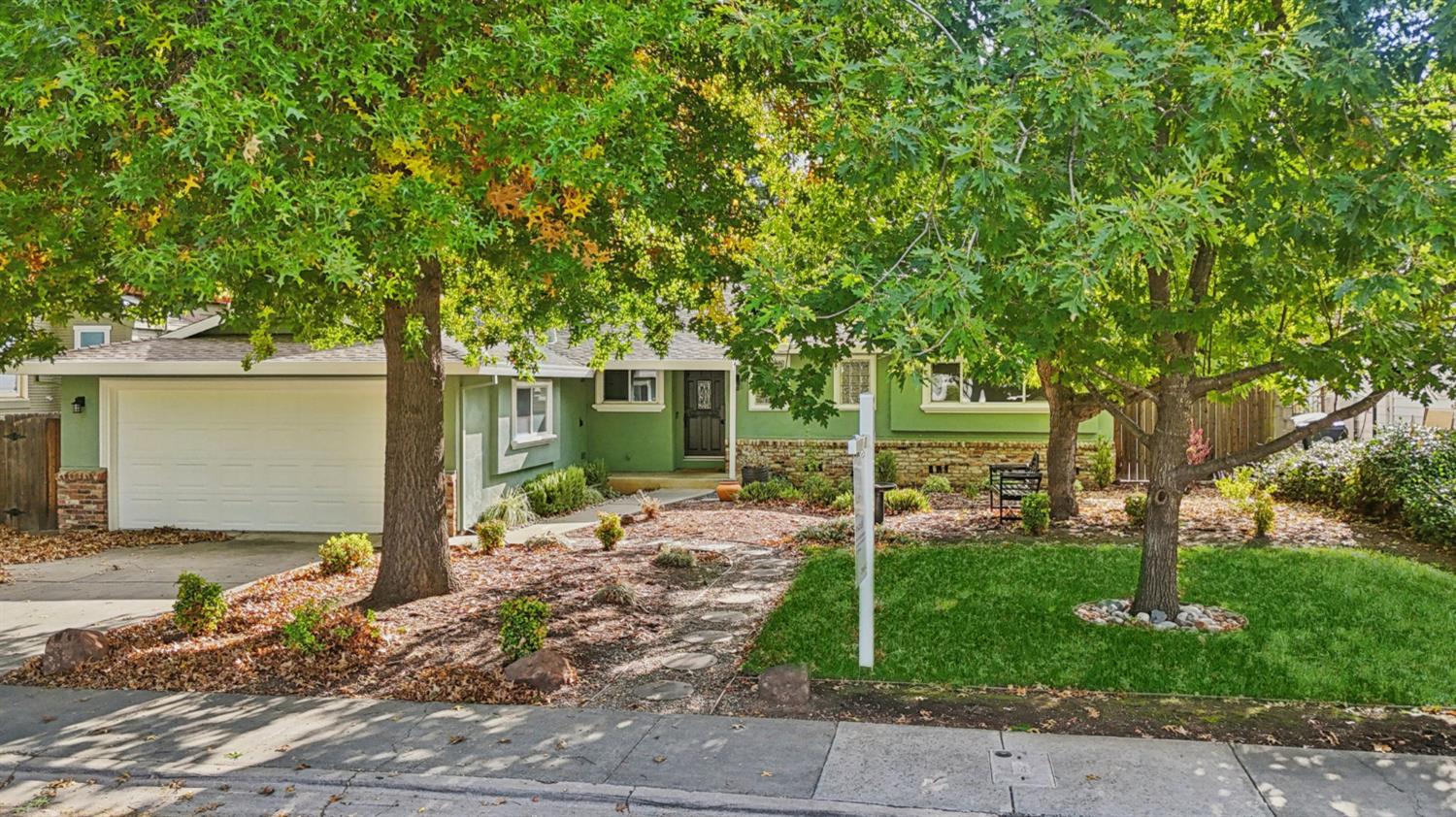 a view of a backyard with large tree