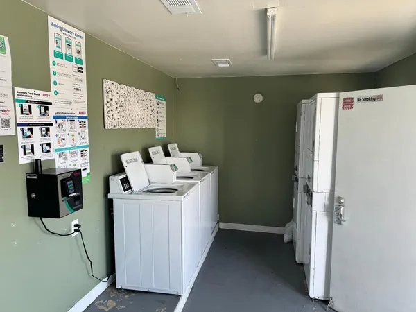 a table with chairs and a potted plant