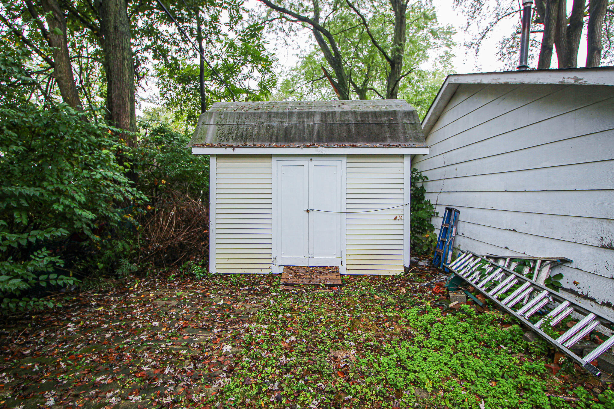522 Dexter Drive Crown Point, IN 46307 - Photo 21 of 21 a front view of a house with garden