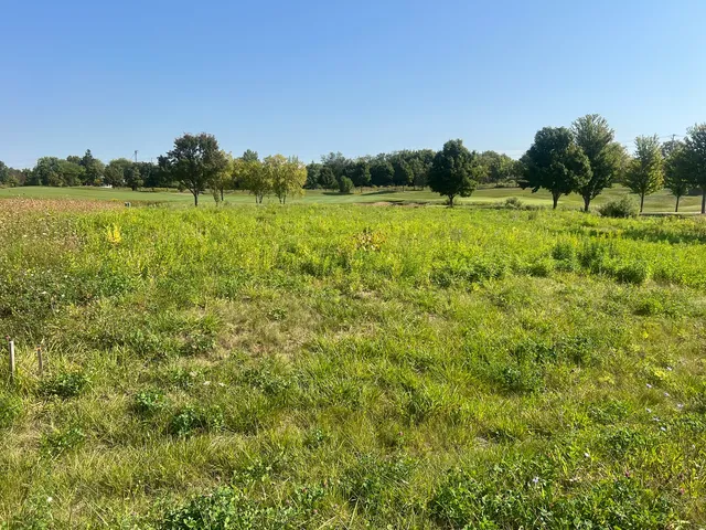 a view of a field with an ocean view