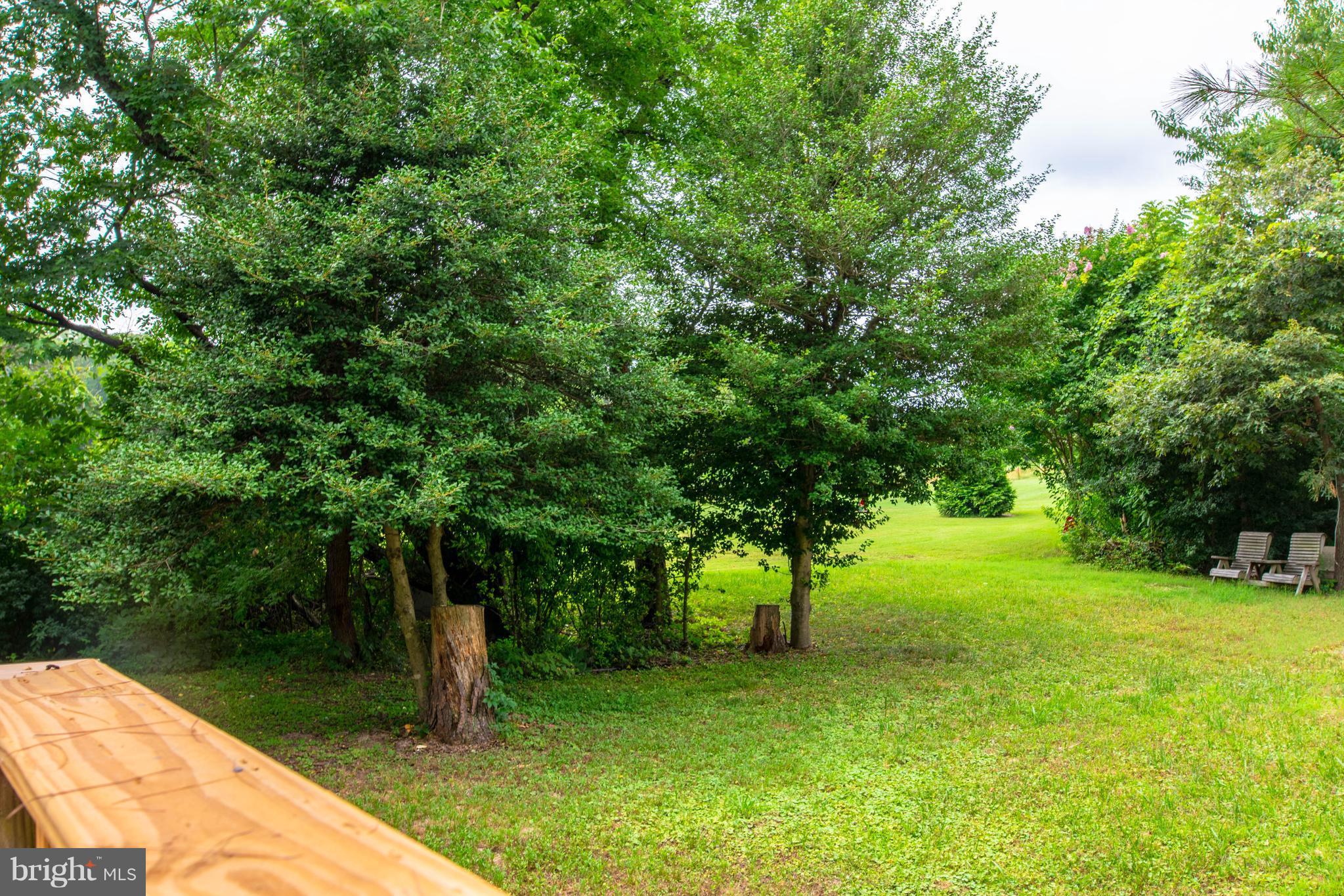 11227 Rawhide Road Lusby, MD 20657 - Photo 18 of 30 a view of a garden