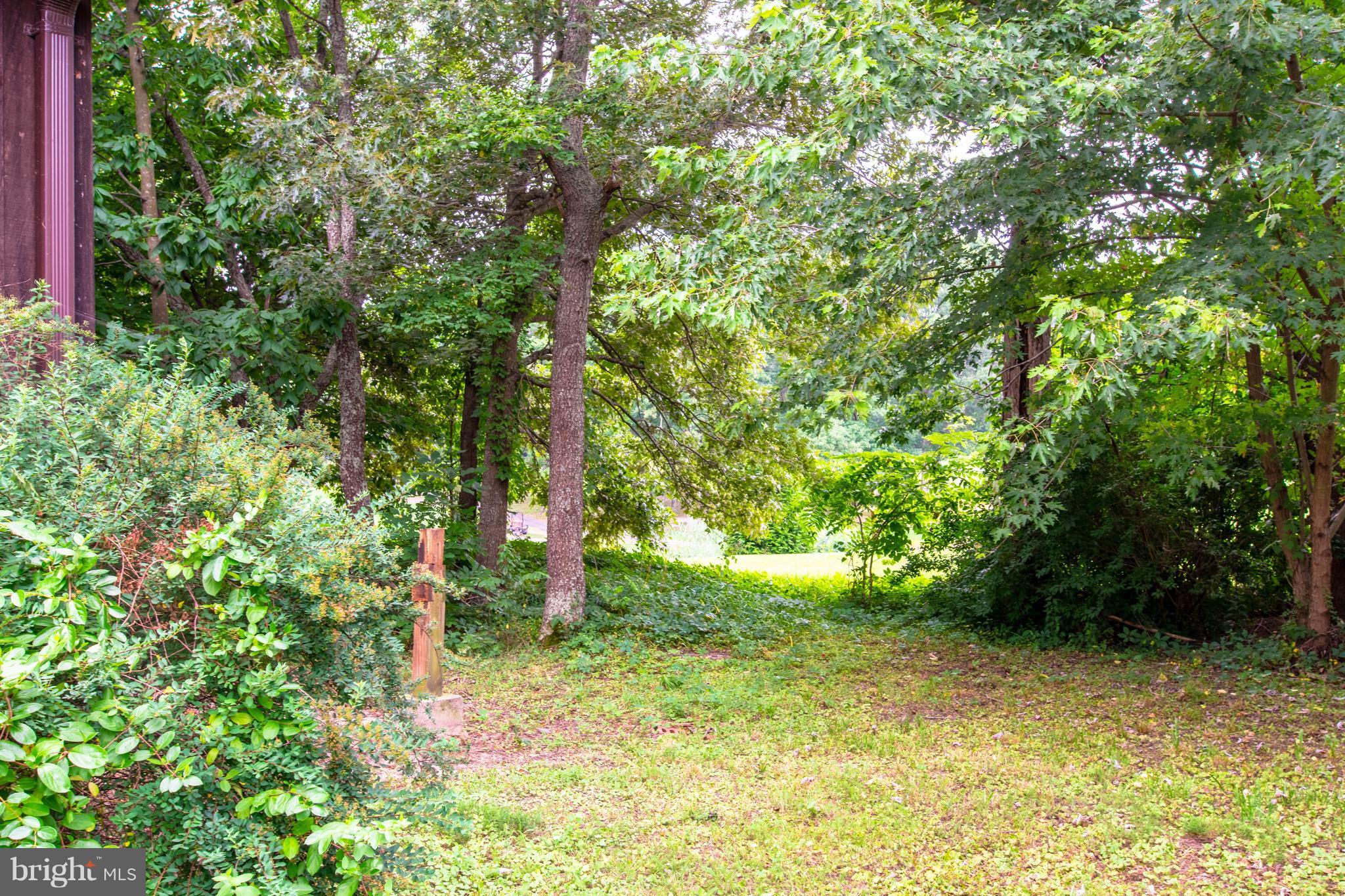 11227 Rawhide Road Lusby, MD 20657 - Photo 20 of 30 a view of yard