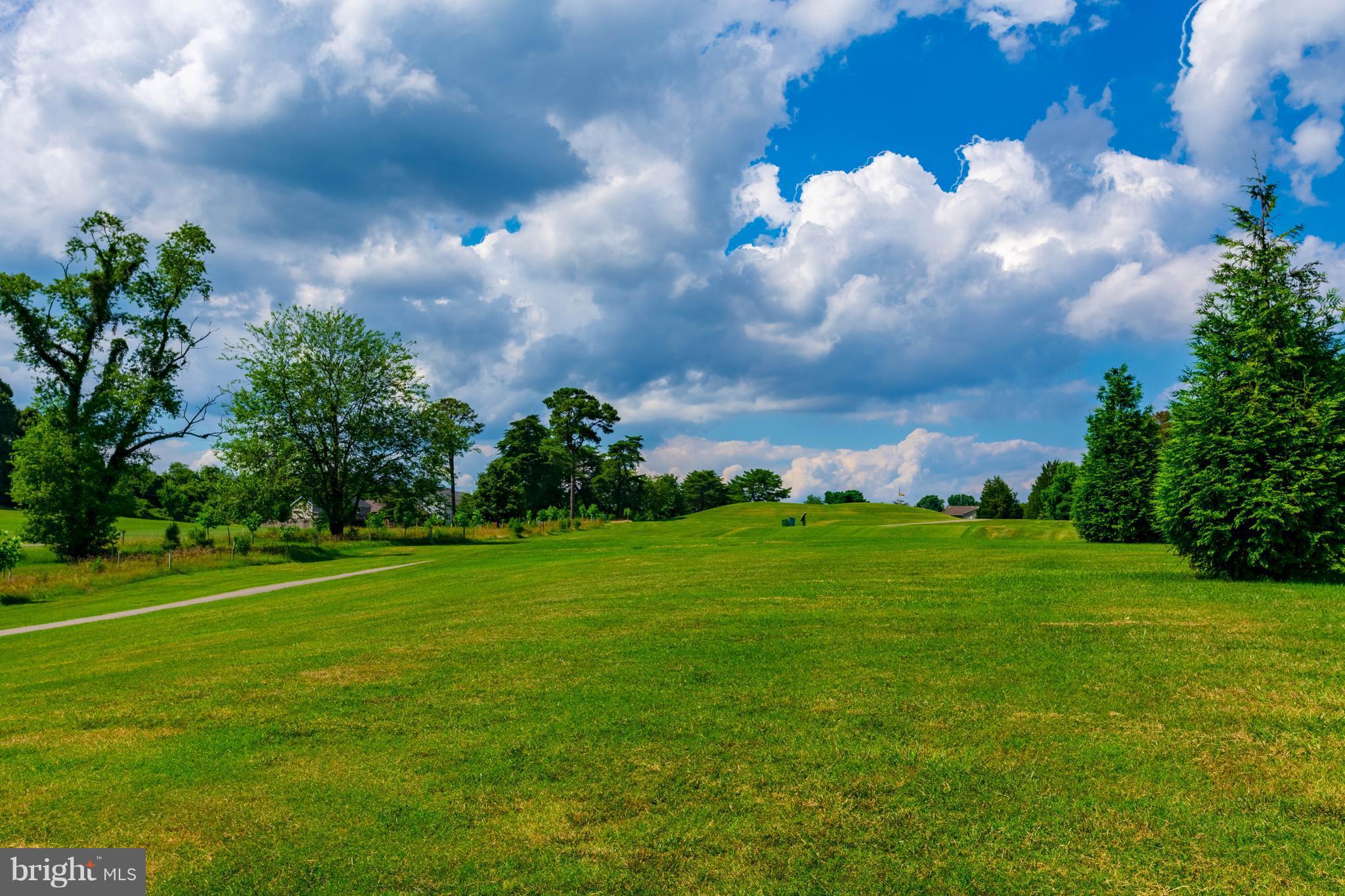 11227 Rawhide Road Lusby, MD 20657 - Photo 22 of 30 a view of a big yard with plants and large trees