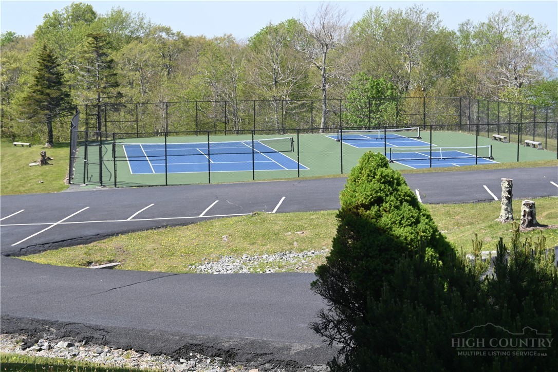 3114 Pinnacle Inn Road, Unit 3114 Beech Mountain, NC 28604 - Photo 18 of 29