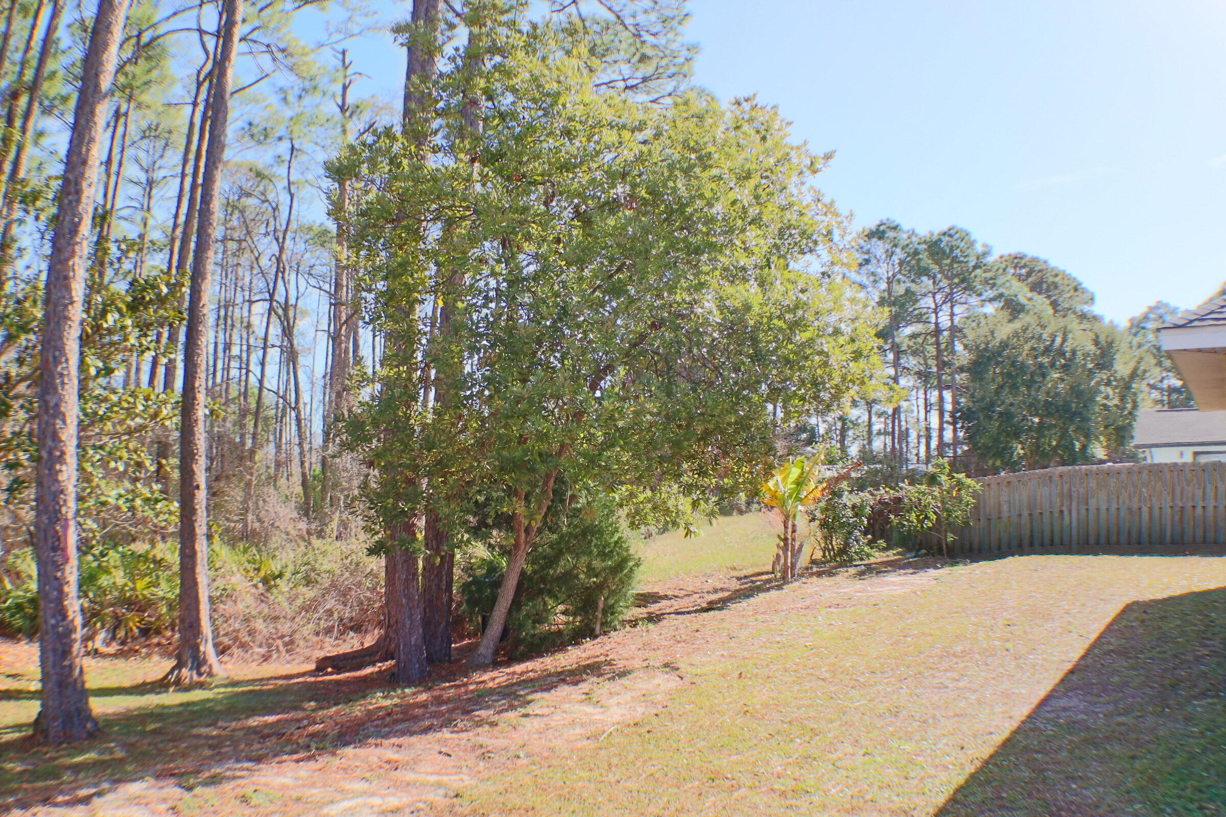 564 East Shipwreck Road Santa Rosa Beach, FL 32459 - Photo 37 of 38 a view of a yard with plants and trees