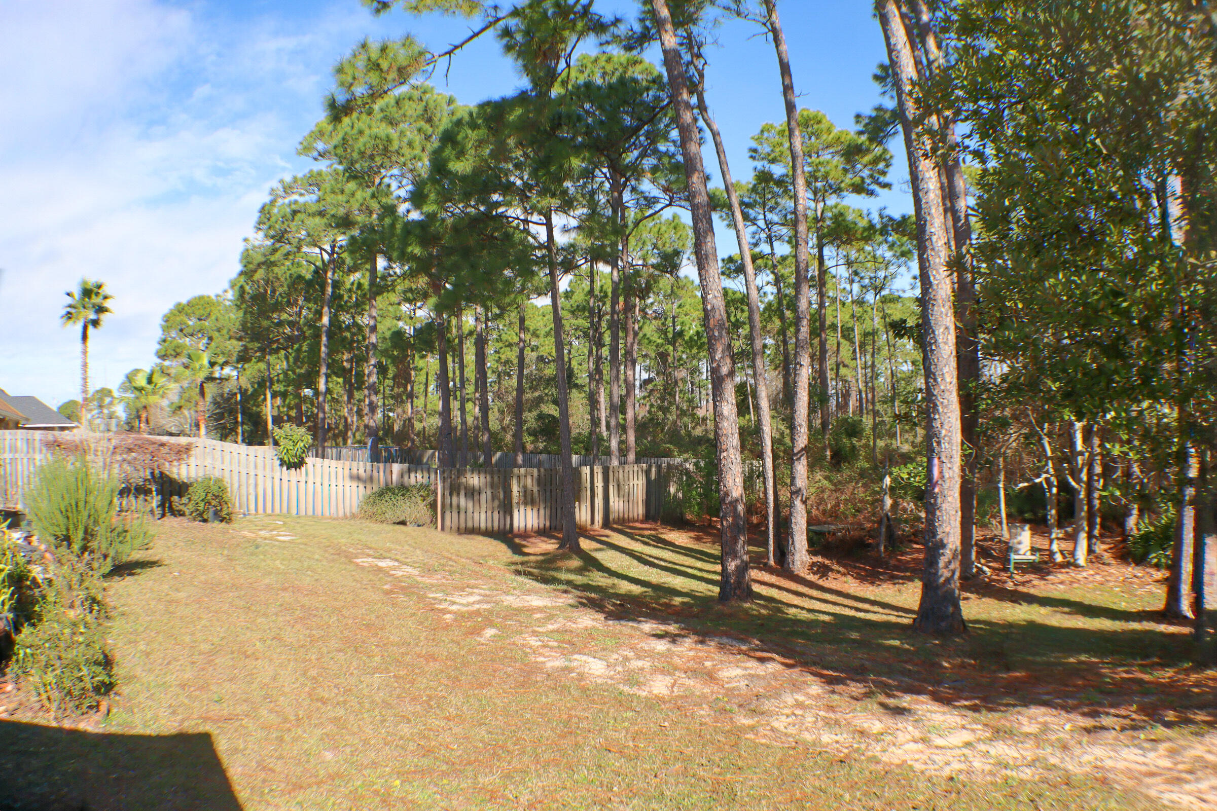 564 East Shipwreck Road Santa Rosa Beach, FL 32459 - Photo 38 of 38 a view of outdoor space with trees