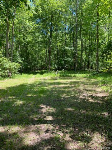 V/l Underwood Road Caro, MI 48723 - Photo 10 of 13