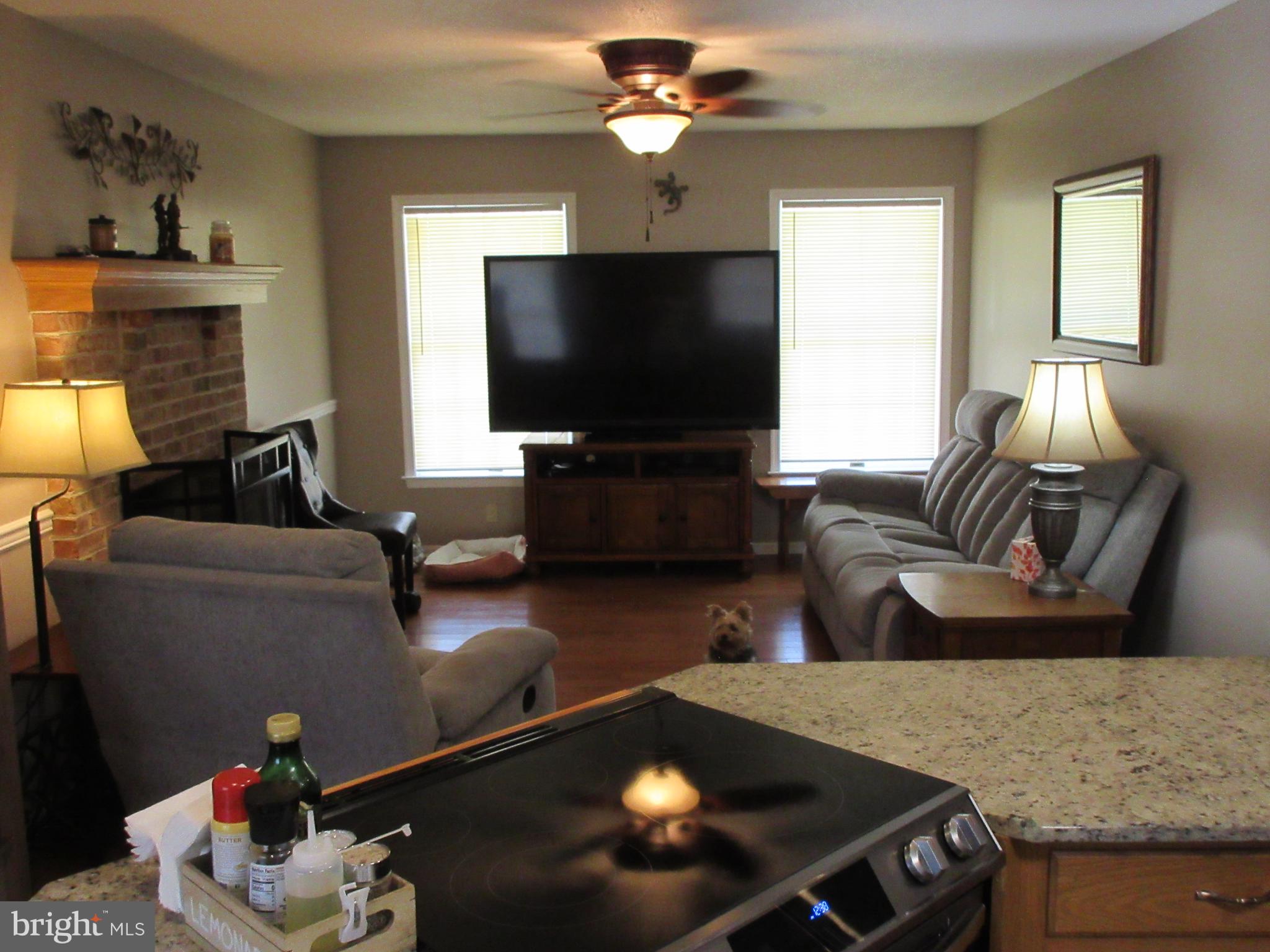 991 Church Hill Road Milford, DE 19963 - Photo 21 of 55 Family Room