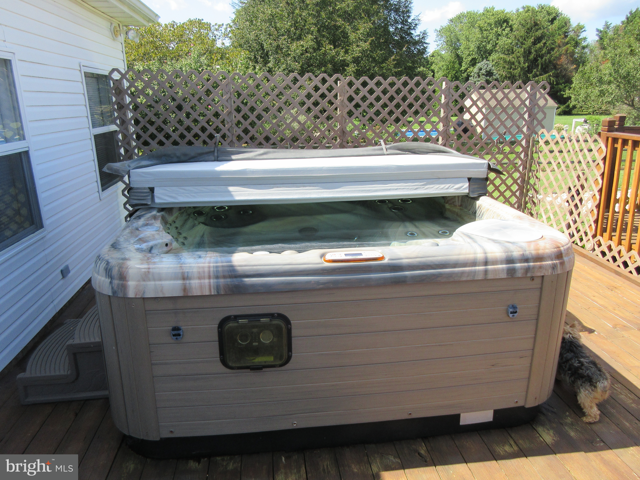 991 Church Hill Road Milford, DE 19963 - Photo 44 of 55 Hot tub