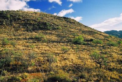 95 Poorwill Canyon Road Rio Rico, AZ 85648 - Photo 8 of 9