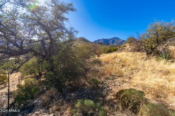$220,000 | 4709 East Dead Bear Draw, Hereford, AZ 85615