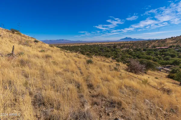 $220,000 | 4709 East Dead Bear Draw, Hereford, AZ 85615