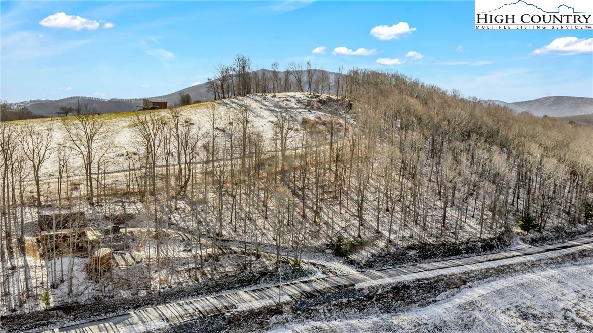 Roby Poe Road Crumpler, NC 28617 - Photo 7 of 19 Gallery Image 7