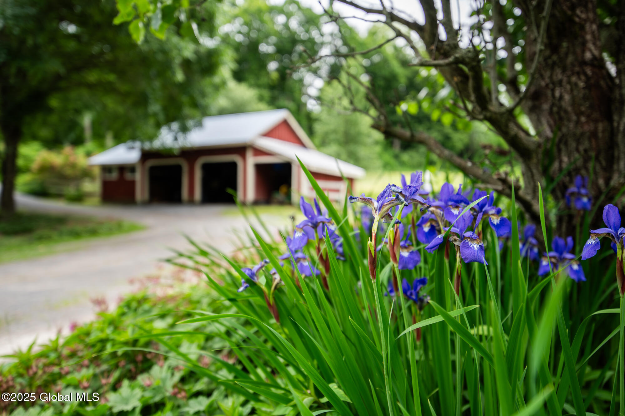 1121 Lundy Road Granville, NY 12832 - Photo 2 of 32 DSC08036-Enhanced-NR