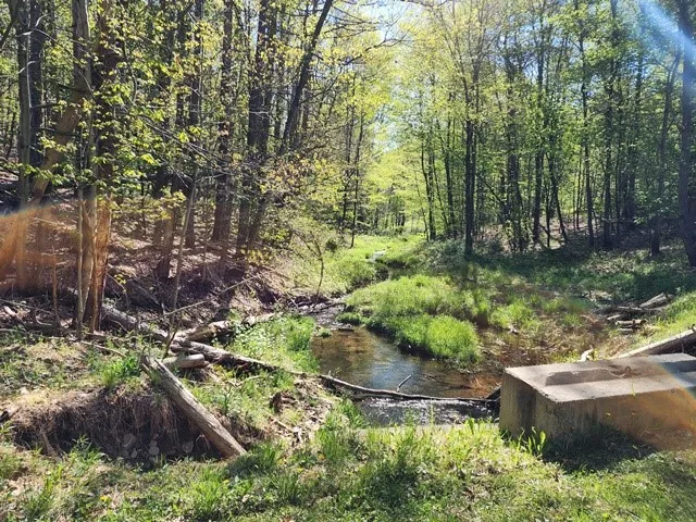 $225,000 | 2564 Moore Hill Road, Emporium, PA 15834