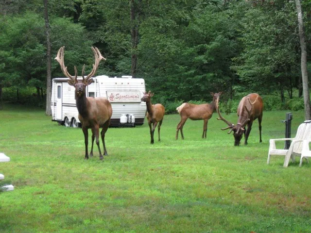 $225,000 | 2564 Moore Hill Road, Emporium, PA 15834