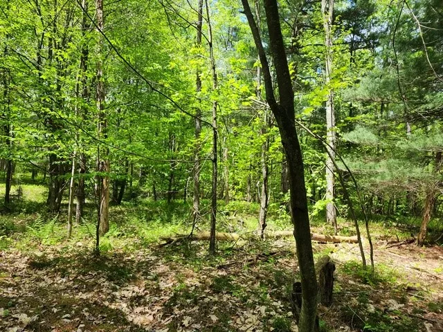 $225,000 | 2564 Moore Hill Road, Emporium, PA 15834