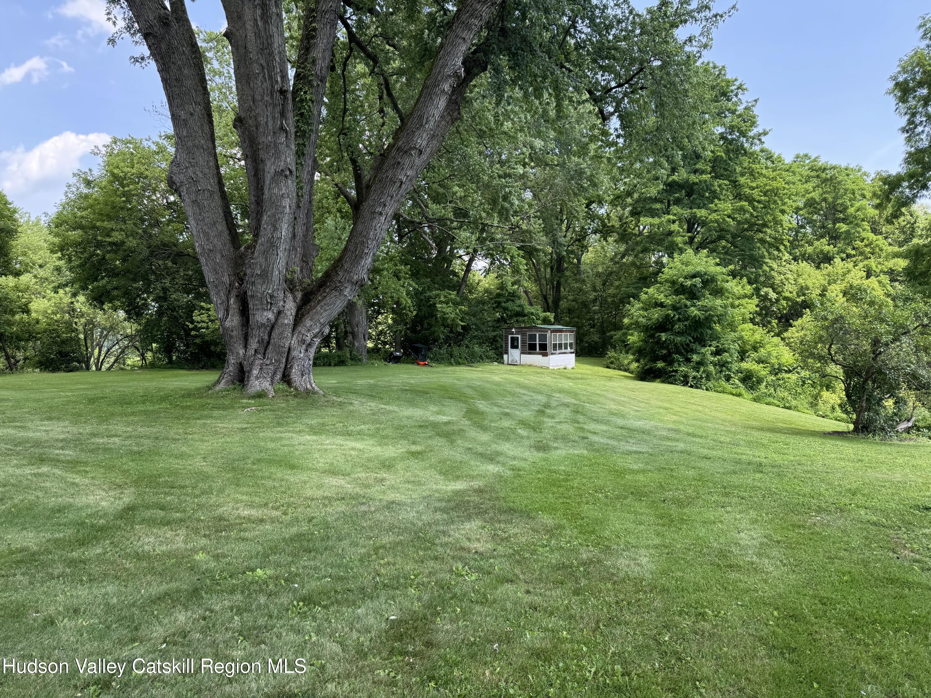 189-195 Vedder Road Catskill, NY 12414 - Photo 35 of 39 a view of a trees with a yard