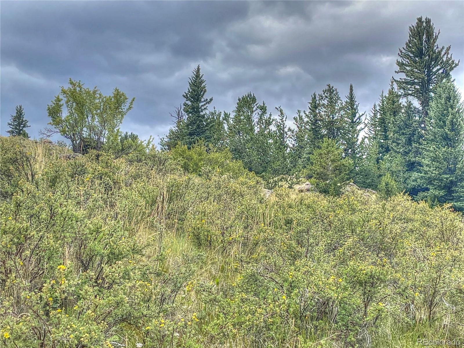 1530 Breton Circle Como, CO 80432 - Photo 17 of 21