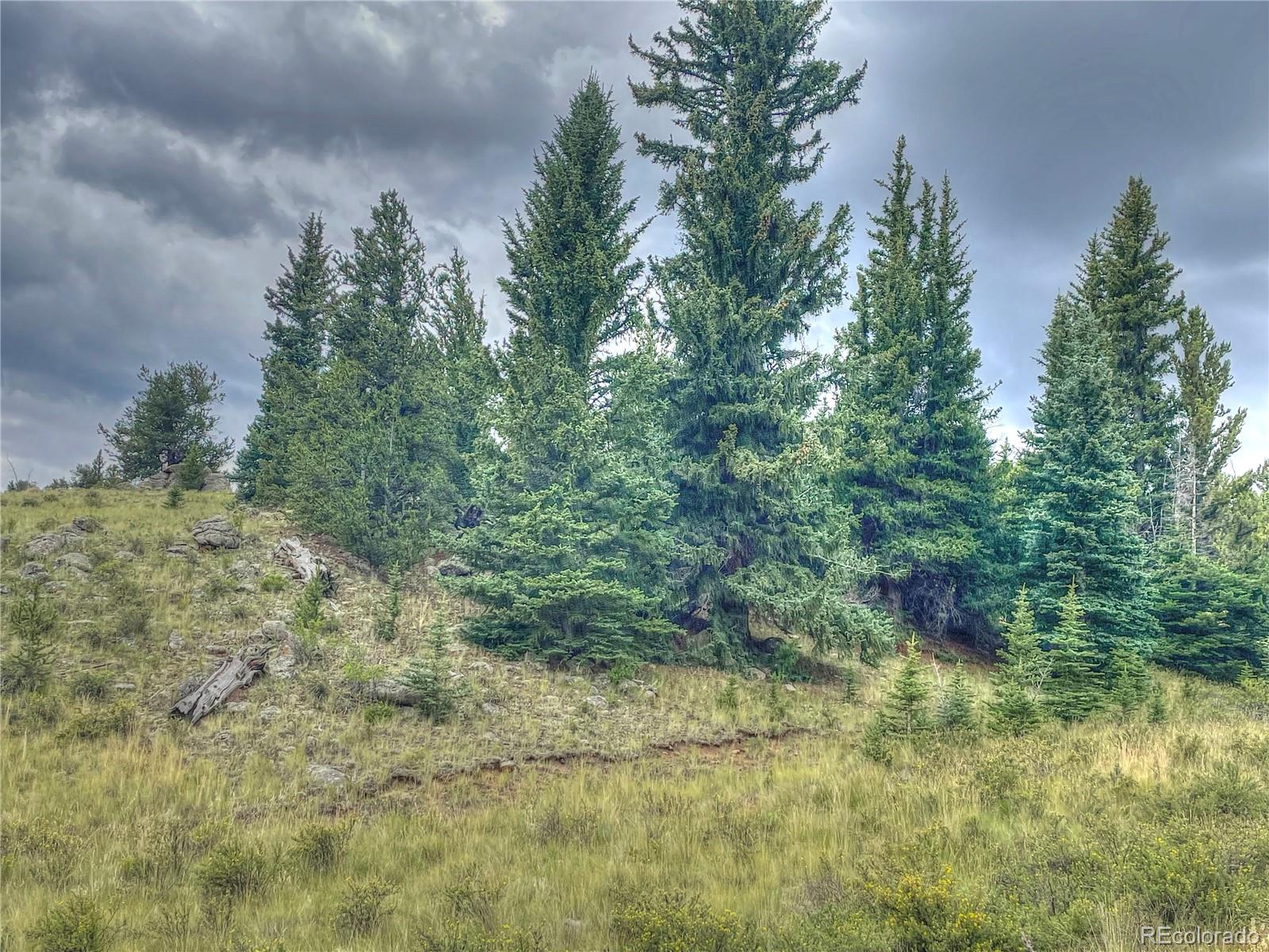 1530 Breton Circle Como, CO 80432 - Photo 4 of 21