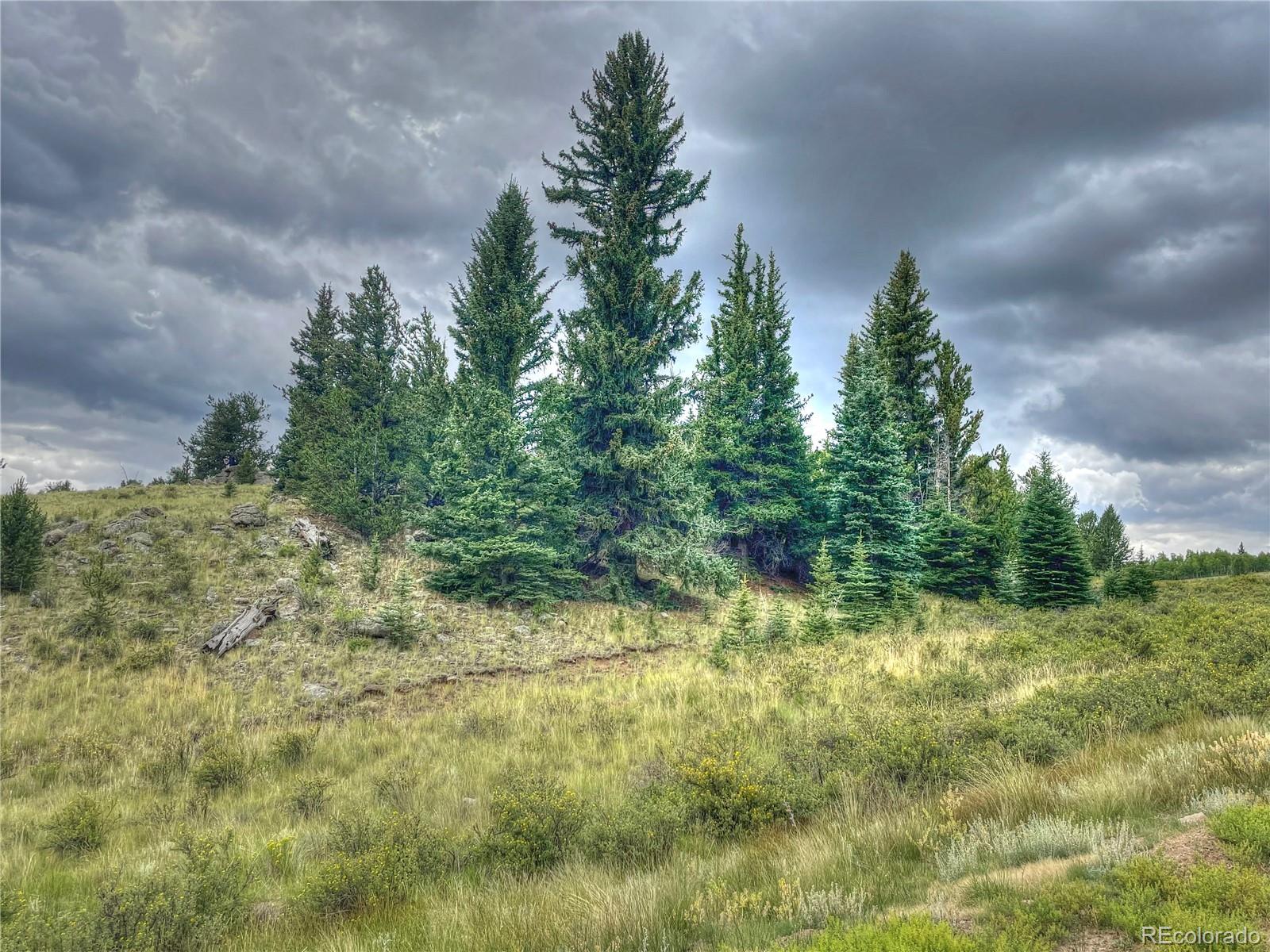 1530 Breton Circle Como, CO 80432 - Photo 6 of 21