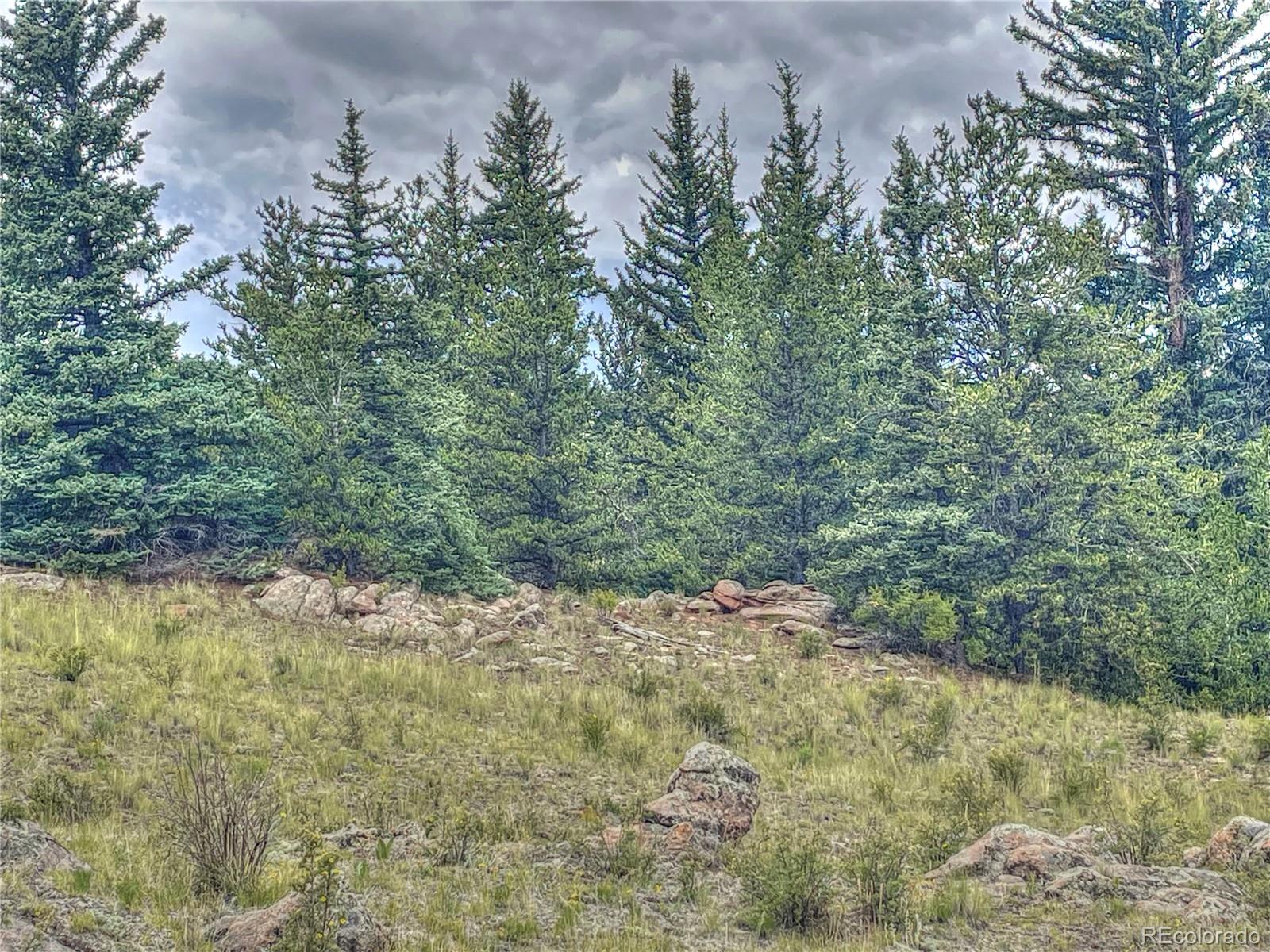 1530 Breton Circle Como, CO 80432 - Photo 8 of 21