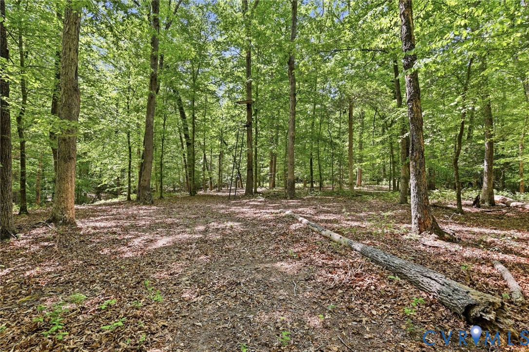 2018 Old Church Road Mechanicsville, VA 23111 - Photo 3 of 49 a view of outdoor space with trees